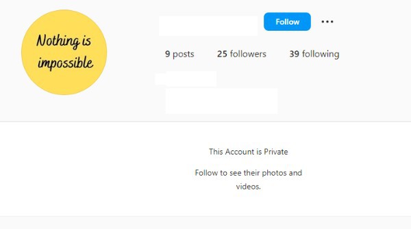 Download All Instagram Photos From Private User