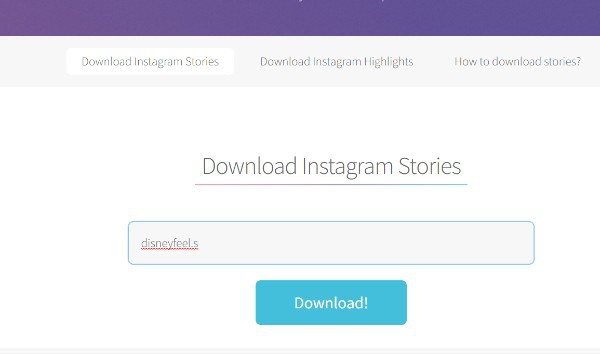 Download Private Instagram Stories