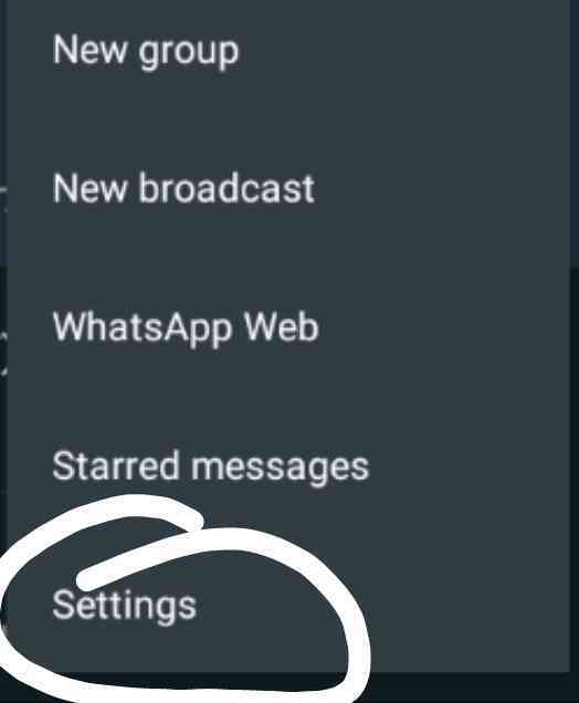 How To Change WhatsApp Theme Colour And Look Completely