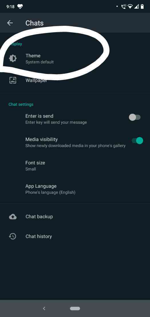 How To Change WhatsApp Theme Colour And Look Completely