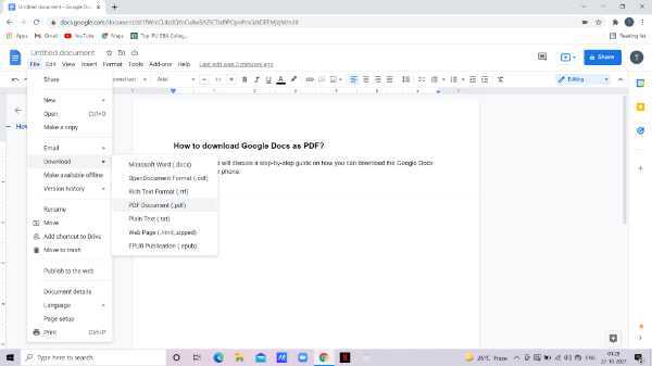 How To Download Google Docs As PDF