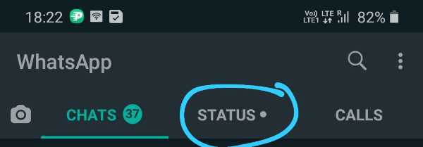 How To Hide WhatsApp Status Of Others