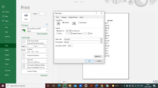 How To Make Excel Spreadsheet Bigger When Printing