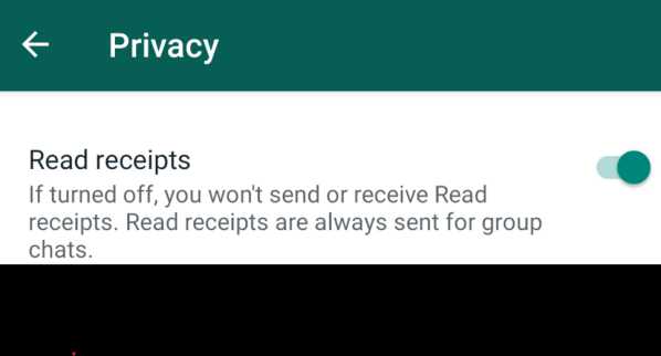 how to read whatsapp messages with one tick