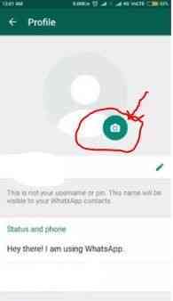 How to set WhatsApp DP from gallery