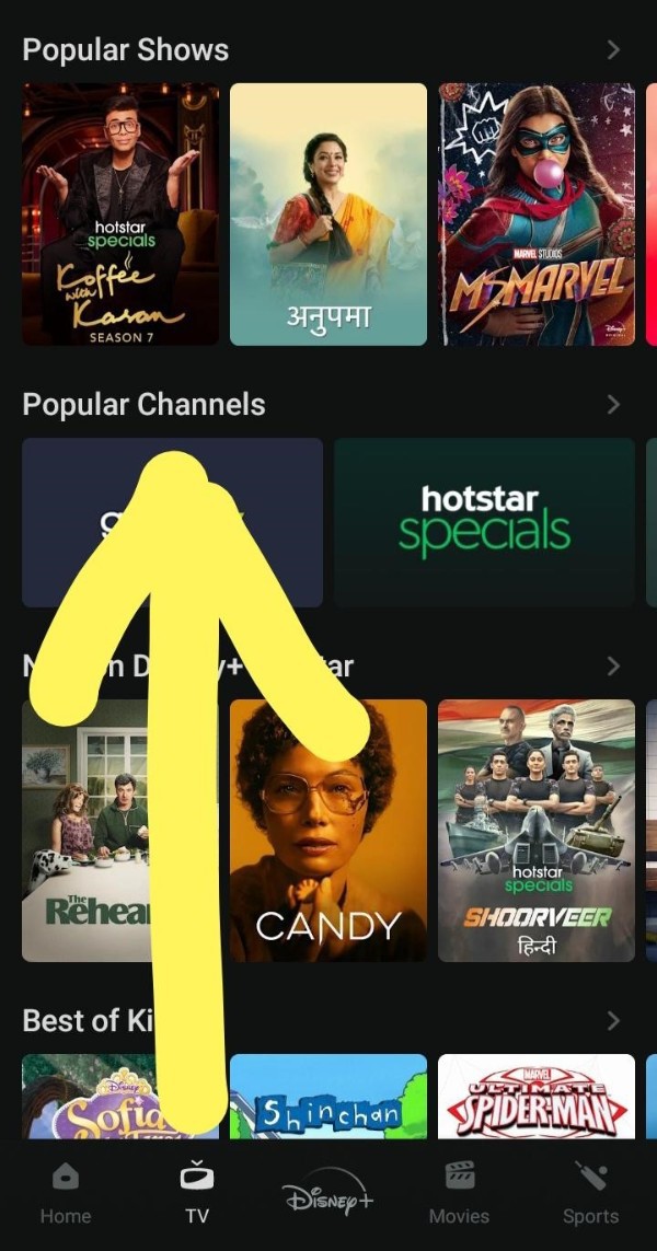 How To Watch Live Match On Hotstar For Free