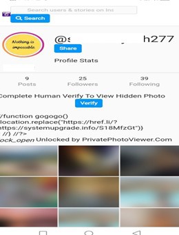 Instagram Private Profile Viewer