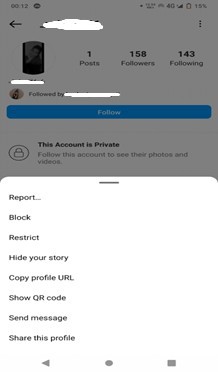 Instagram Profile Picture Viewer URL