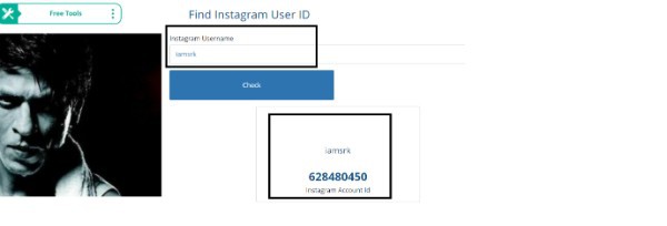 Instagram User ID To Username