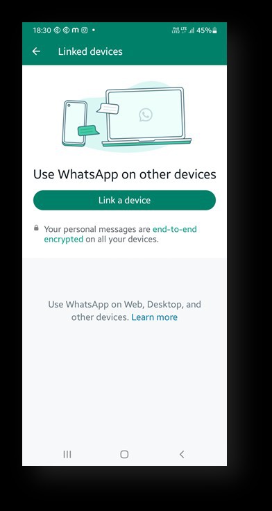 Log Into WhatsApp Online